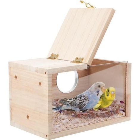 Nichoir à Perruches Nichoir à Oiseaux Transparent pour Cage Nichoir en Bois pour Perroquets Perruches Calopsittes InséParables (1/4)