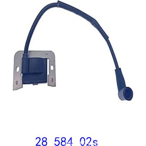 24 584 01-S Zündspule i Rasenmäherzubehör Passend für CH18 CH20 CH23 CH62 (1/2)