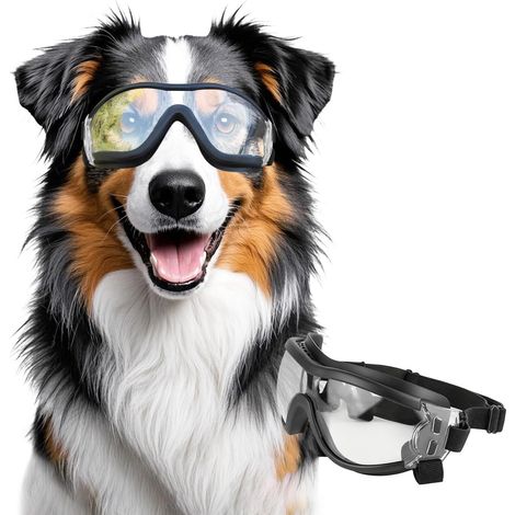 Lunettes pour chien Outdoor ajustable porter avec lunettes de soleil pour animaux de compagnie transparent (1/5)