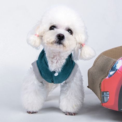 Manteau chaud en coton bleu épais, doux et confortable pour chien, idéal pour l'automne et l'hiver. Taille XS. (1/5)