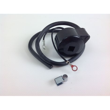 Bobina accensione elettronica compatibile TECUMSEH per motore LAV BV BVL BVS (1/4)