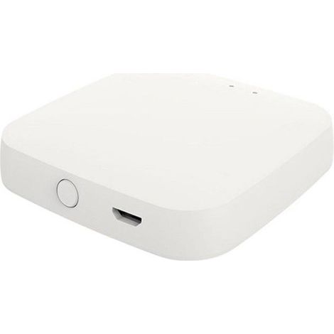 Mini passerelle sans fil Bluetooth (1/4)