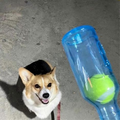 Jouets pour chiens, Jouets en bouteille pour chiens, Jouets en bouteille d'eau pour chiens, Rouge, L-- (1/5)