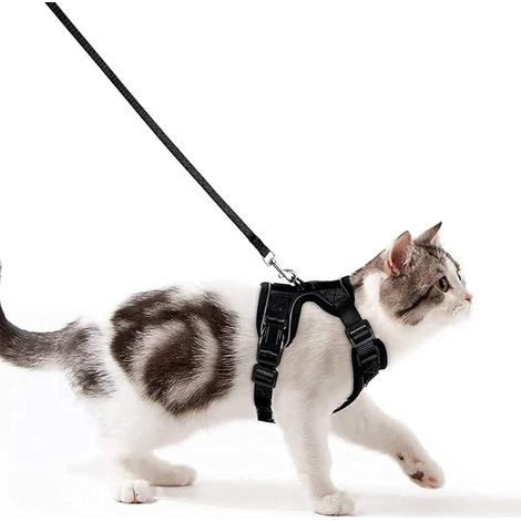 Harnais Chat Petit Chien Laisse Harnais Chaton Réglable Gilet (1/5)