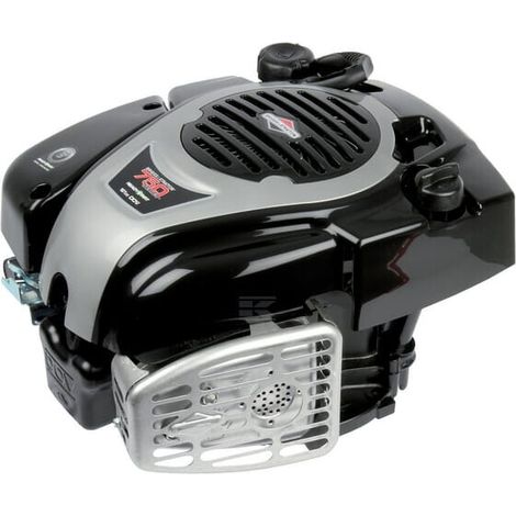 Moteur BRIGGS & STRATTON 1006022126H5