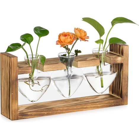 Terrarium Plante Hydroponie en Forme de Cœur - Vase en Verre avec Support en Bois - Soliflore pour Centre de Table Decoration Interieur Salon (1/5)