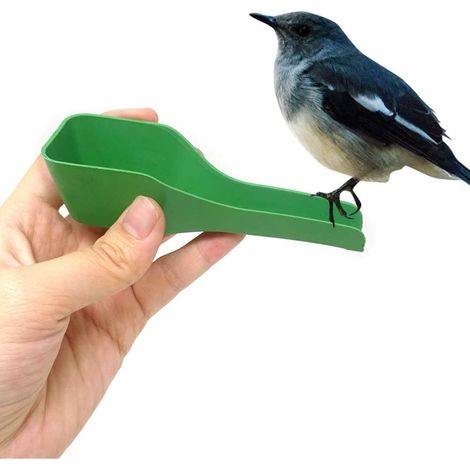 Cuillère nourrissante en plastique vert pour perroquets et oiseaux  ustensile pour distribuer manuellement de la nourriture, de l'eau ou des médicaments.-AquaForge (1/5)