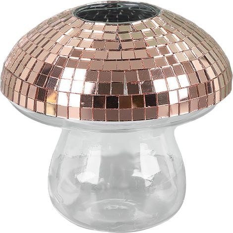 Jarrón tipo farol transparente Zenith de 1 litro - Decoración moderna para plantas hidropónicas (1/2)