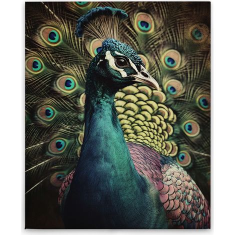 Leinwandbild Pfau Portrait M1-No.52251 - Kunstdruck auf Leinwand in Blau Beige - Wandbild 40 x 50 cm (1/5)