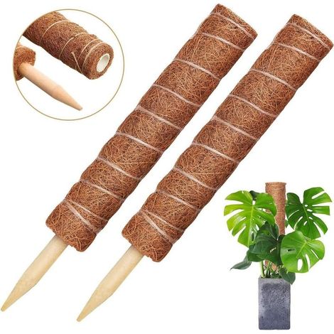 Tuteur en fibre de coco pour plantes grimpantesLot de 2 tuteurs 30/40cmSupport écologique pour vignes d'intérieur et d'extérieur (1/4)