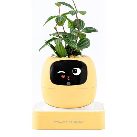 Smarter Blumentopf mit KI-Emotionsanzeige, Blush Pink (1/5)