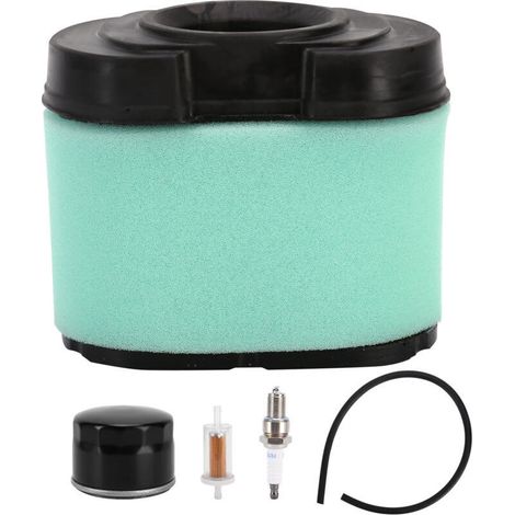 Kit de Filtre à Air pour Tondeuse à Gazon avec Bougie et Tuyau à Carburant TB2454 (1/5)