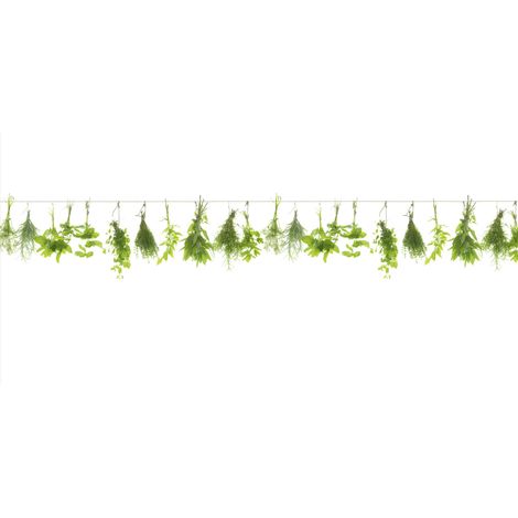Küchenrückwand WandArt easy 120 x 58,5 cm, 3 mm, herbs line Spritzschutz