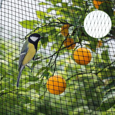 CCYKXA Bird netting, 4x10m garden netting, anti-pigeon netting, protective netting, vegetable garden netting, protects plants, vegetables, and fruit (1/5)