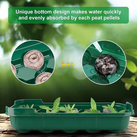 Confezione da 6 robusti vassoi per coltivazione da davanzale BDD con coperture protettive per blocchi di coltivazione da 3-3,5 mm (non inclusi) - Vassoi per coltivazione indoor e outdoor (1/4)