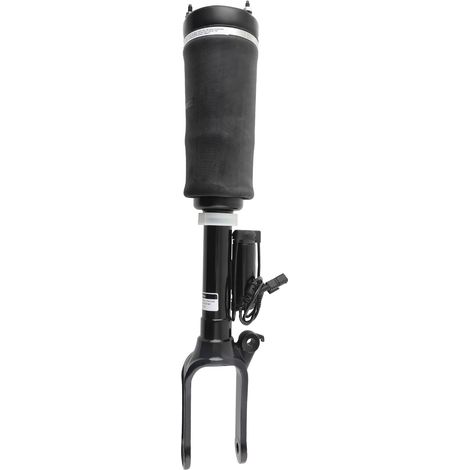 Avant Suspension Pneumatique Pour Mercedes-benz Classe R 251 2513203113 New (1/5)