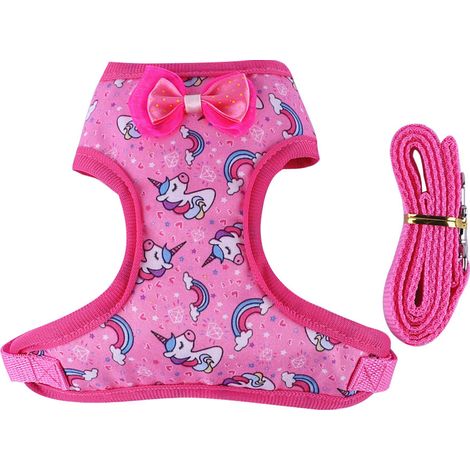 Ensemble de promenade rose adapté aux canards apprivoisés – Accessoire mignon pour canard, laisse de promenade et d'entraînement réglable convenant aux poules, oies et coqs (ensemble de 2 pièces) (1/4)