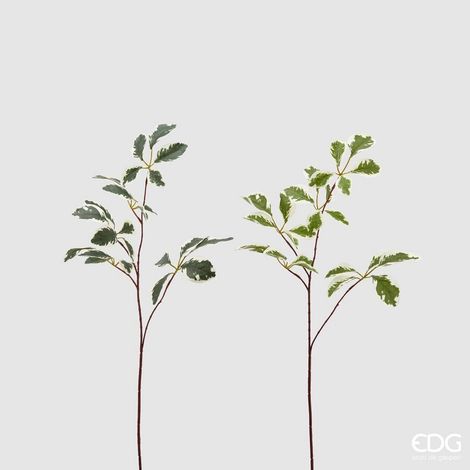 EDG Enzo De Gasperi Ficus Benjiamin Rex Ass. H 73 Cm Pianta Artificiale Bianco Verde 1 Pz