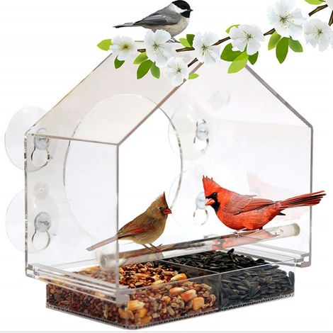 Fensterfutterhaus, transparentes Vogelfutterhaus aus Kunststoff (20 x 13 x 19 cm) mit Saugnapf und herausnehmbarer Schale mit Abflusslöchern, geeignet für den Außenbereich und Garten