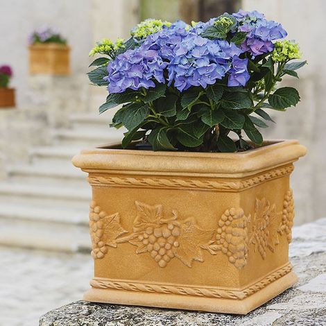 Vaso in Polimero Monacis Quadro Uva Impruneta cm 35 (35X35X29h)