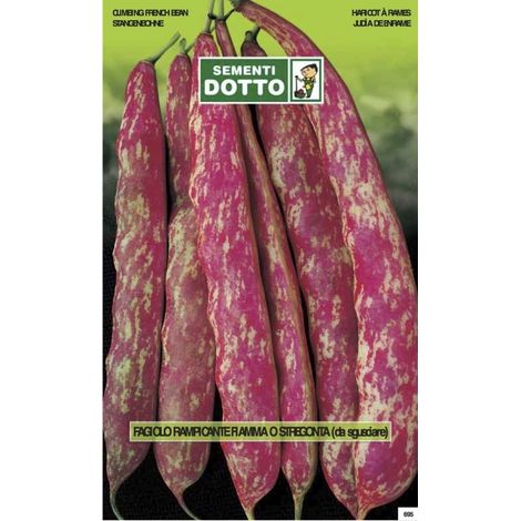 SEMENTI FAGIOLO BORLOTTO FIAMMA RAMPICANTE