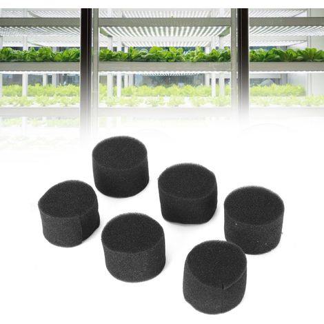 Packung mit 100 schwarzen Hydrokulturschwämmen der Größe 45 mm x 30 mm für die Anzucht von Sämlingen. (1/5)