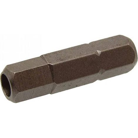 1 Embout Hexagonal pour Vis Inviolable 5 mm - Acier - D-Work