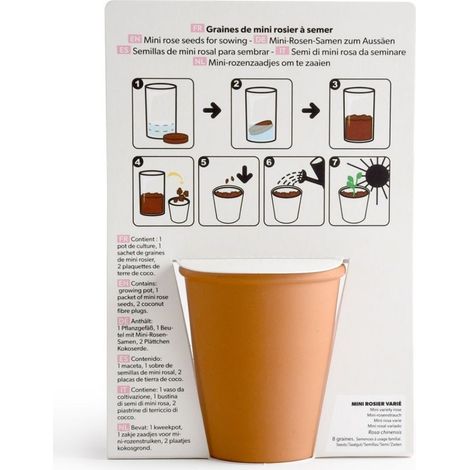 Carte message - All you need is love - Rosier (1/4)