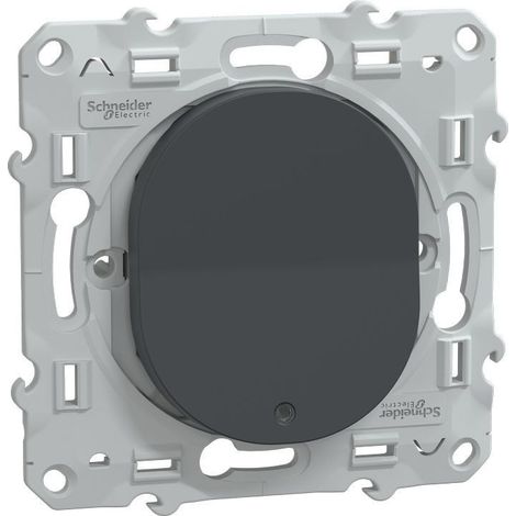 Ovalis - interrupteur va et vient - 10AX - lumineux ou témoin - Anthracite (S340263) (1/7)