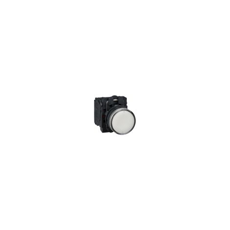 Harmony bt-pous lumineux blanc Ø22 - impulsion - 240 V - 1O+1F