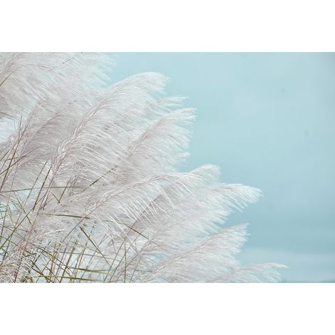 Papier peint panoramique - Pampas - 130 cm x 90 cm (1/2)