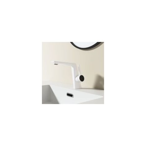 Robinet mélangeur chaud et froid avec tuyau d'eau, Blanc - Crezuo (1/3)