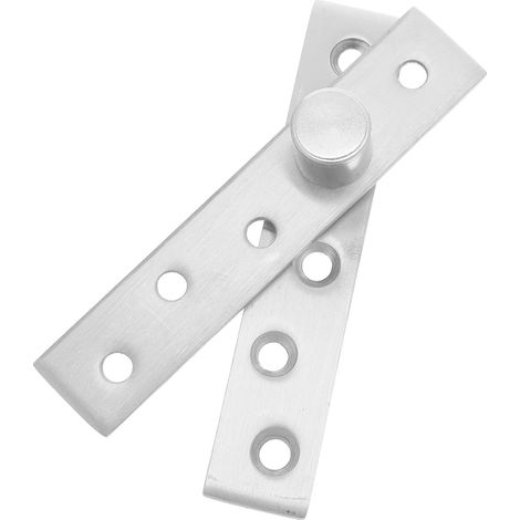 charnières de porte Invisibles en inox Pivot (1/5)