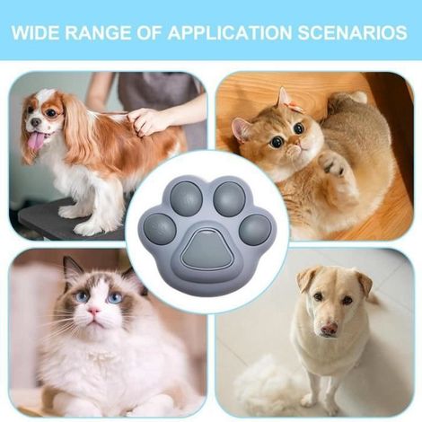 Peigne à Vapeur - Non spécifié - Patte pour Chat - Violet - Doux pour la Peau - Toilettage Efficace (1/4)