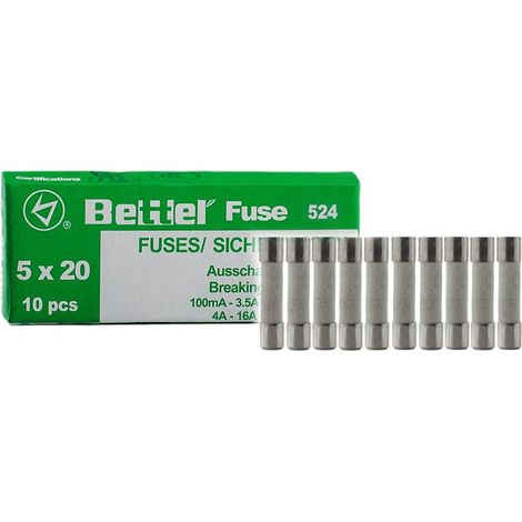 EDI-TRONIC 10 pezzi di fusibili in ceramica a rilascio lento 5x20mm 250V Träge TYP524 6,3A