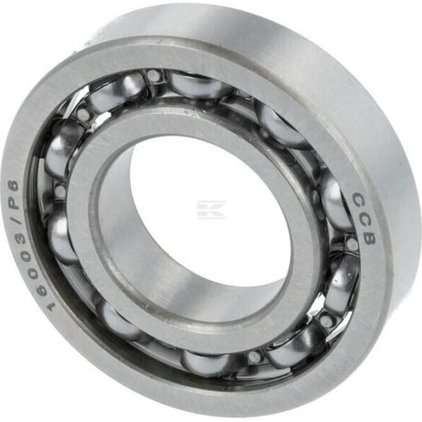 Cuscinetto LONCIN 3806300260001