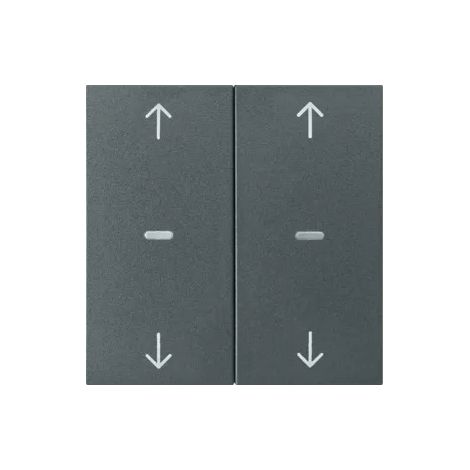 Berker KNX S.1 ABD.2F.ANTHRAZIT MATT / BERKER 80961385 (1/2)