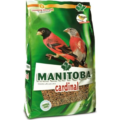 Cardinal - Manitoba - 800 gr