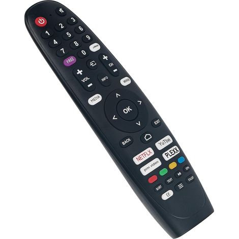 Télécommande de Remplacement Compatible avec Edenwood TV (1/5)