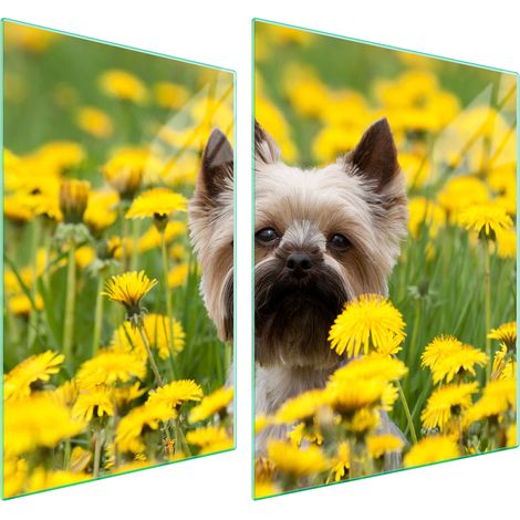 PLACA PROTECTORA DE VIDRIO PARA ESTUFA 70x52 PERRO (1/5)