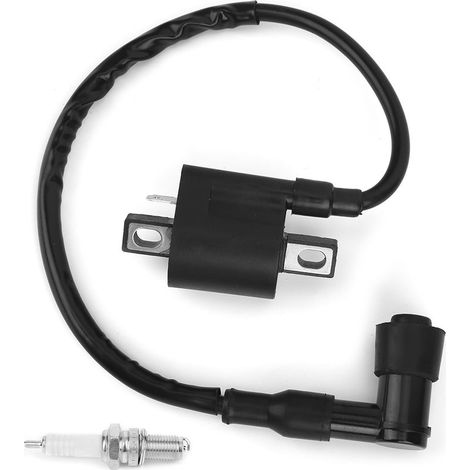 1 kit d'allumage, bobine + bougie D8EA, pour moteurs 150cc 200cc 250cc, quads ATV buggys pit bike (1/5)