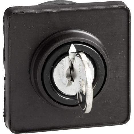 Tête de commutateur 45x45mm avec clé Ronis 8R1 fi22 KDC1S (1/4)