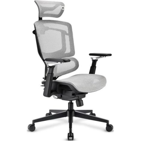 Silla de oficina Sharkoon OfficePal C50M ergonómica respaldo malla reposabrazos 5D (1/5)