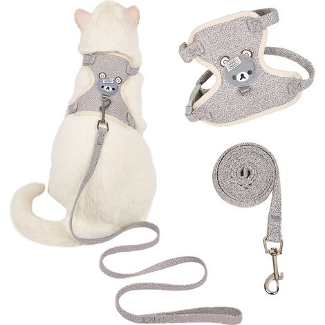 Harnais et laisse ajustable pour chat et petit chien, motif ours, taille M (1/5)