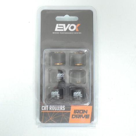 Variomatik-Rolle EVOK für Roller Suzuki 50 AH Address 16x13 5Grs (1/4)