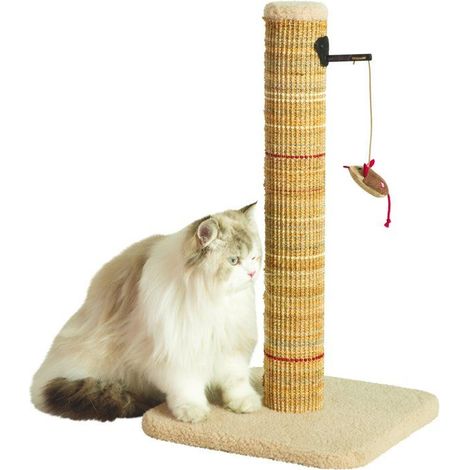 Palo graffiatoio per gatti - ZOLUX - Sisal - Con giocattolo sospeso - 60 cm - Boreale - Beige