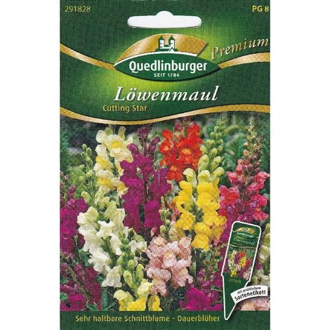 Quedlinburger Löwenmaul Cutting Star - Blumensamen (1/2)