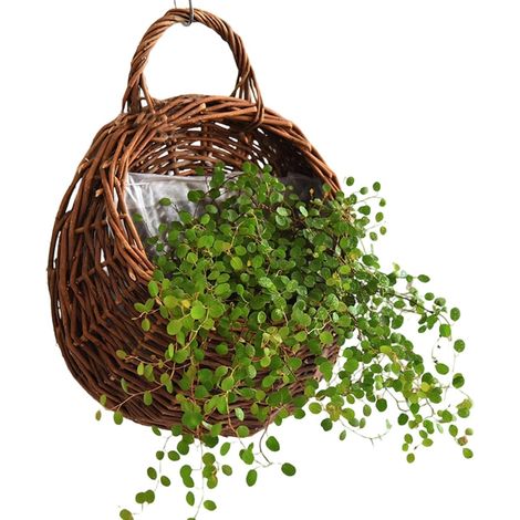 Wandkorb Rahmen aus montierter Weide Rattankorb 20 x 10 x 26