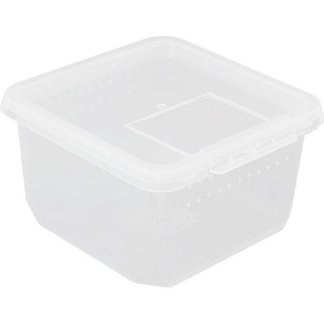 1 boîte d'élevage pour reptiles