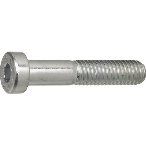 Zylinderschrauben M6x20 Zylinderbauschrauben mit Innensechskant und niedrigem Kopf ISK, Edelstahl A4-70